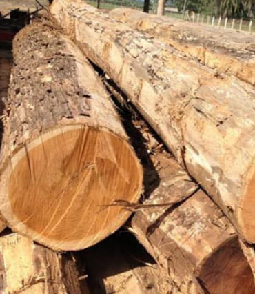 Teak Wood Sillie