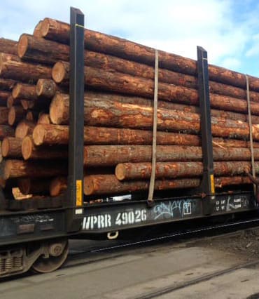 Sudan Round Logs