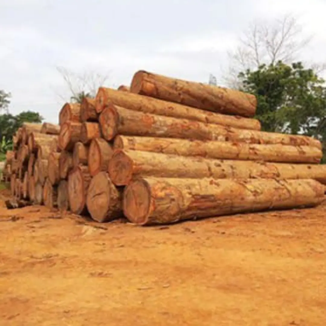 Teak Logs