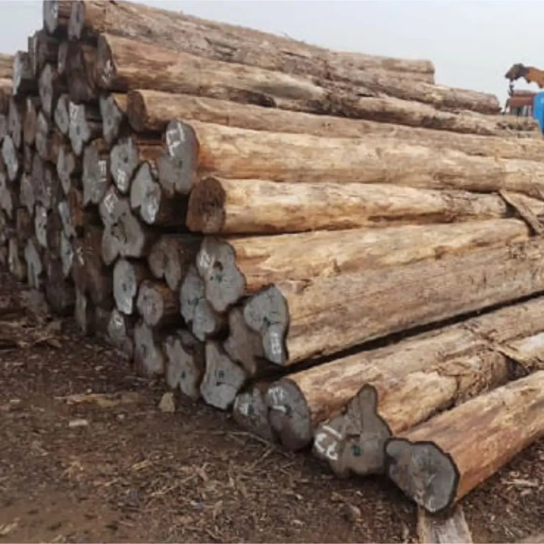 Tanzania Teak Wood